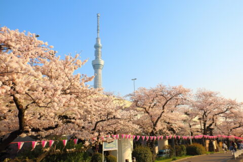 Sumida Park