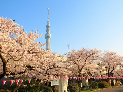 隅田公園