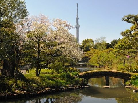 向岛百花园