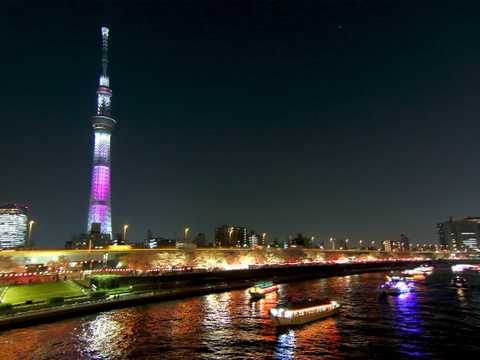 Sumida Park